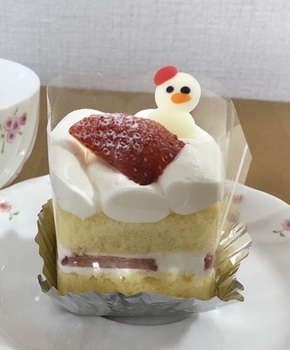クリスマスケーキアップ.jpg